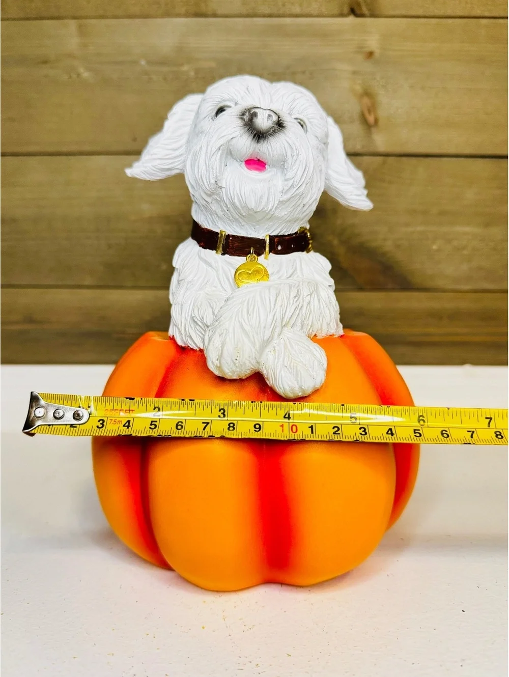 Fall Pumpkin Dog Figurine - Maltese Shih Tzu in Pumpkin Resin Decor 8